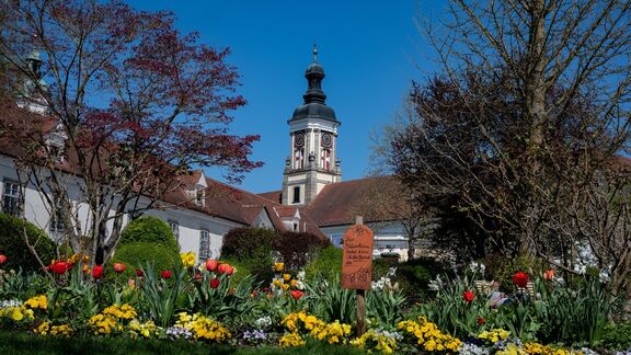 Garten @Werner Kerschbaummayr Garten @Werner Kerschbaummayr